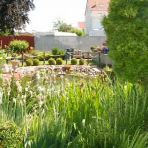 Gartenbereich Pflanzen und Deko